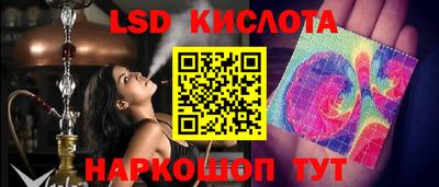 индика Кандалакша