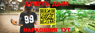 дурь Камышлов