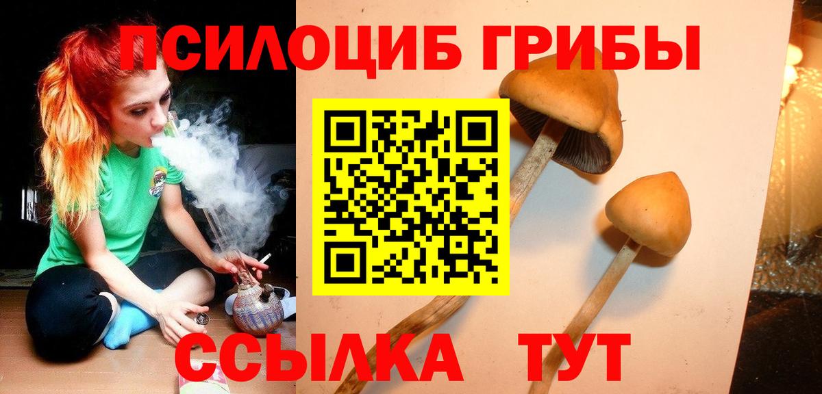 Псилоцибиновые грибы ЛСД  Галлюциногенные грибы Cubensis  Уварово  Вход с VPN 